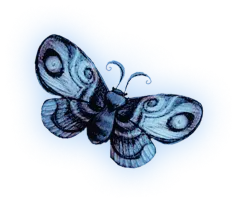 Corpse Bdride Butterfly