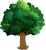 tree icon